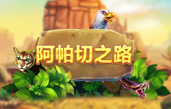 凯云体育app官网入口官网